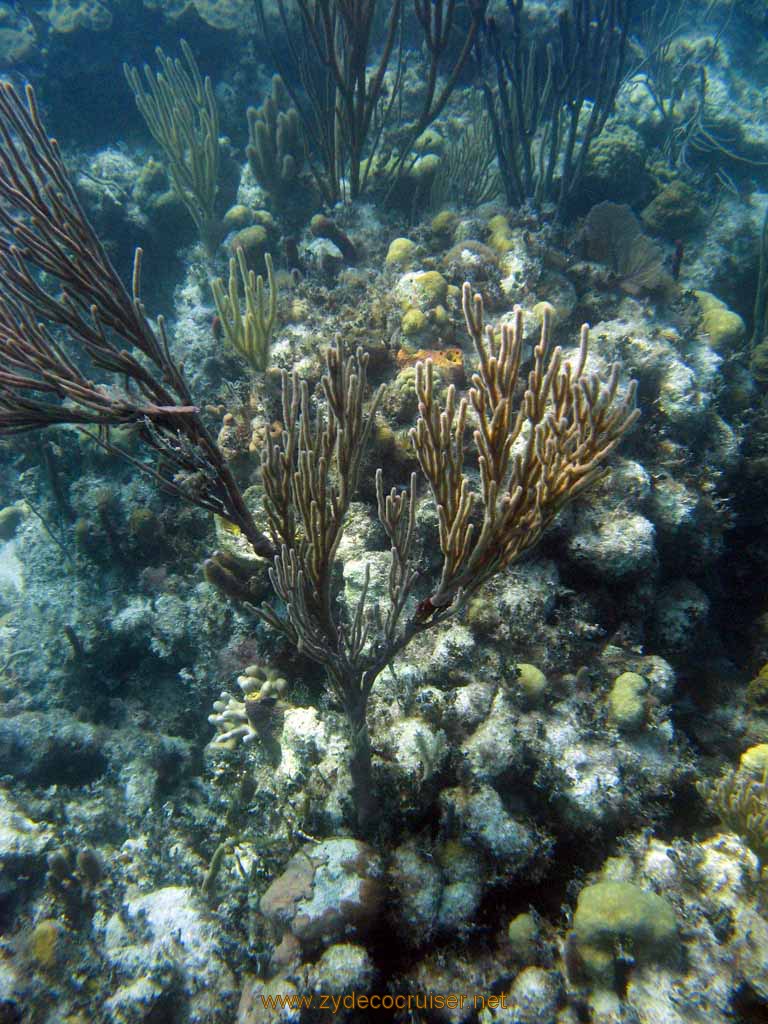 497: Carnival Sensation - Nassau - Catamaran Sail and Snorkel