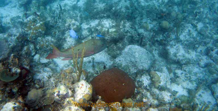 498: Carnival Sensation - Nassau - Catamaran Sail and Snorkel