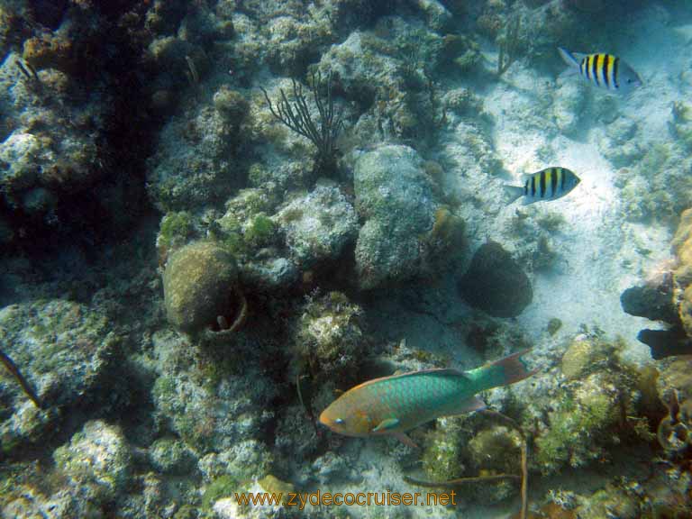 504: Carnival Sensation - Nassau - Catamaran Sail and Snorkel