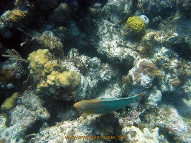 505: Carnival Sensation - Nassau - Catamaran Sail and Snorkel