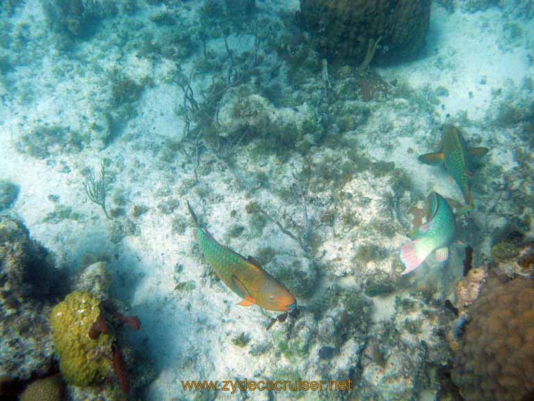 507: Carnival Sensation - Nassau - Catamaran Sail and Snorkel