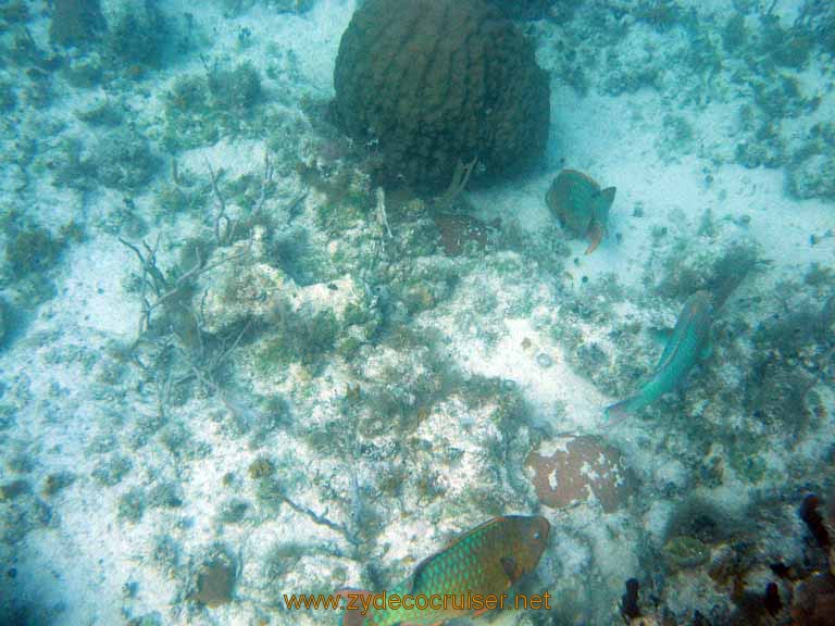 508: Carnival Sensation - Nassau - Catamaran Sail and Snorkel