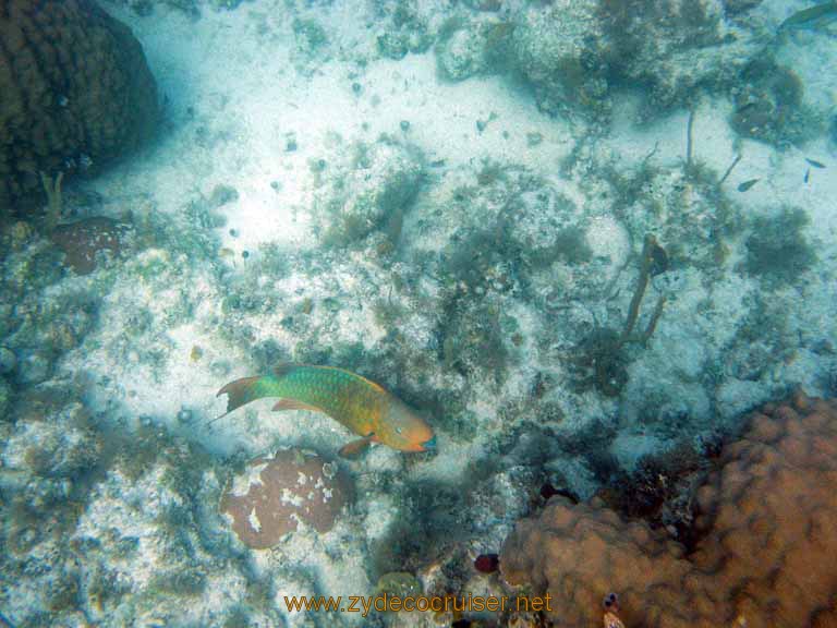 509: Carnival Sensation - Nassau - Catamaran Sail and Snorkel