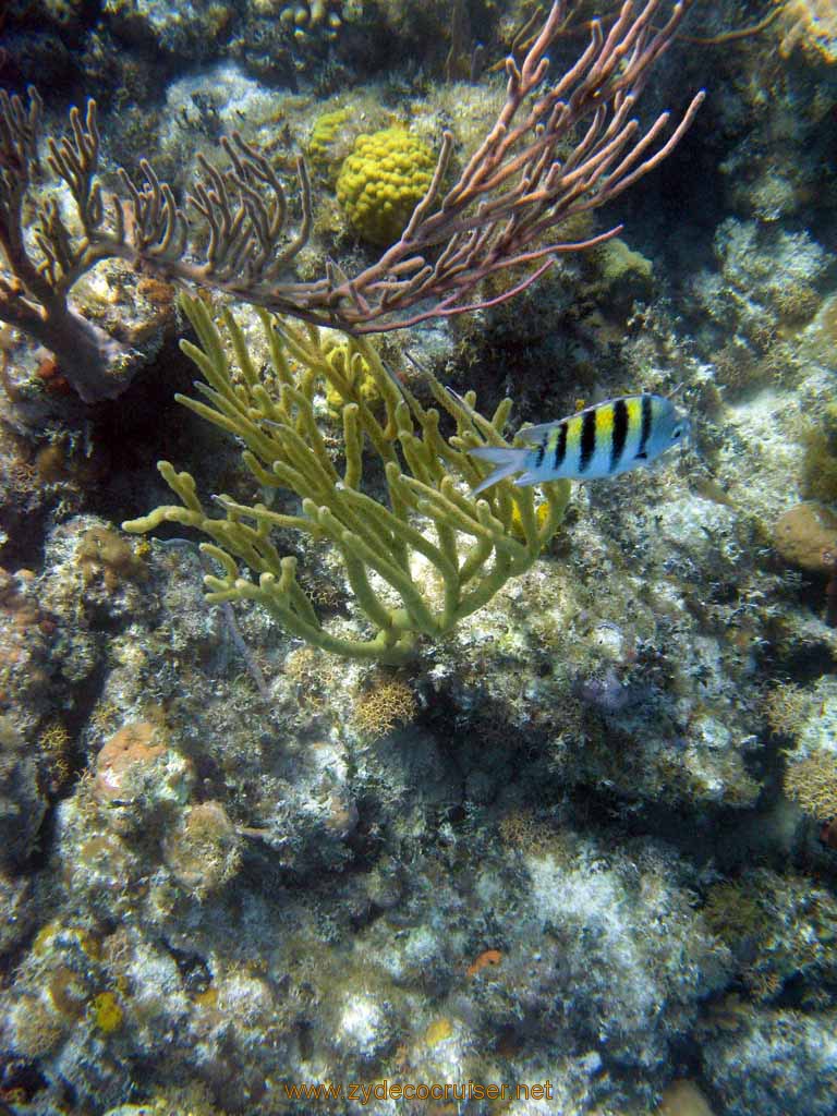 513: Carnival Sensation - Nassau - Catamaran Sail and Snorkel