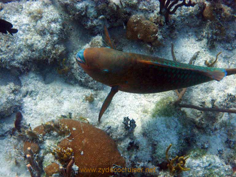 520: Carnival Sensation - Nassau - Catamaran Sail and Snorkel