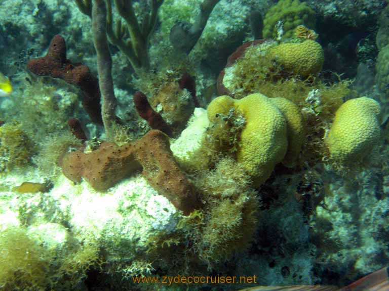 526: Carnival Sensation - Nassau - Catamaran Sail and Snorkel