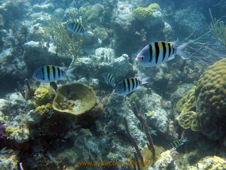 530: Carnival Sensation - Nassau - Catamaran Sail and Snorkel