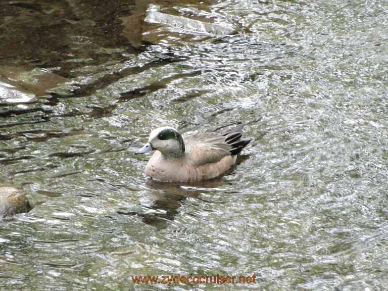 069: Alaska Zoo - Anchorage