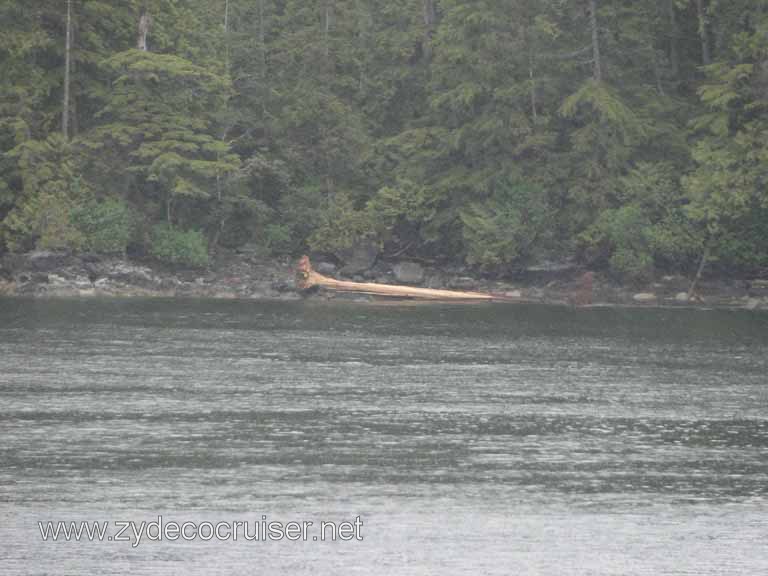 126: Carnival Spirit, Inside Passage, Scenery