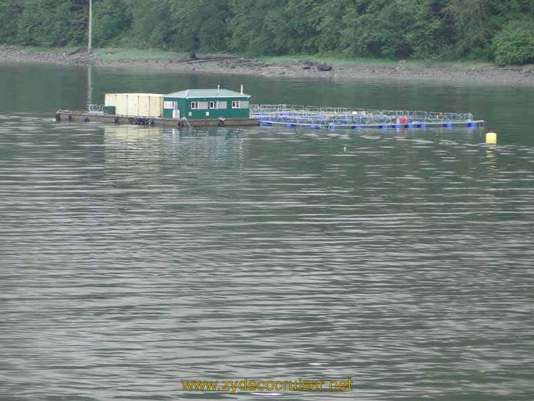 011: Carnival Spirit - approaching Juneau - some sort of hatchery?