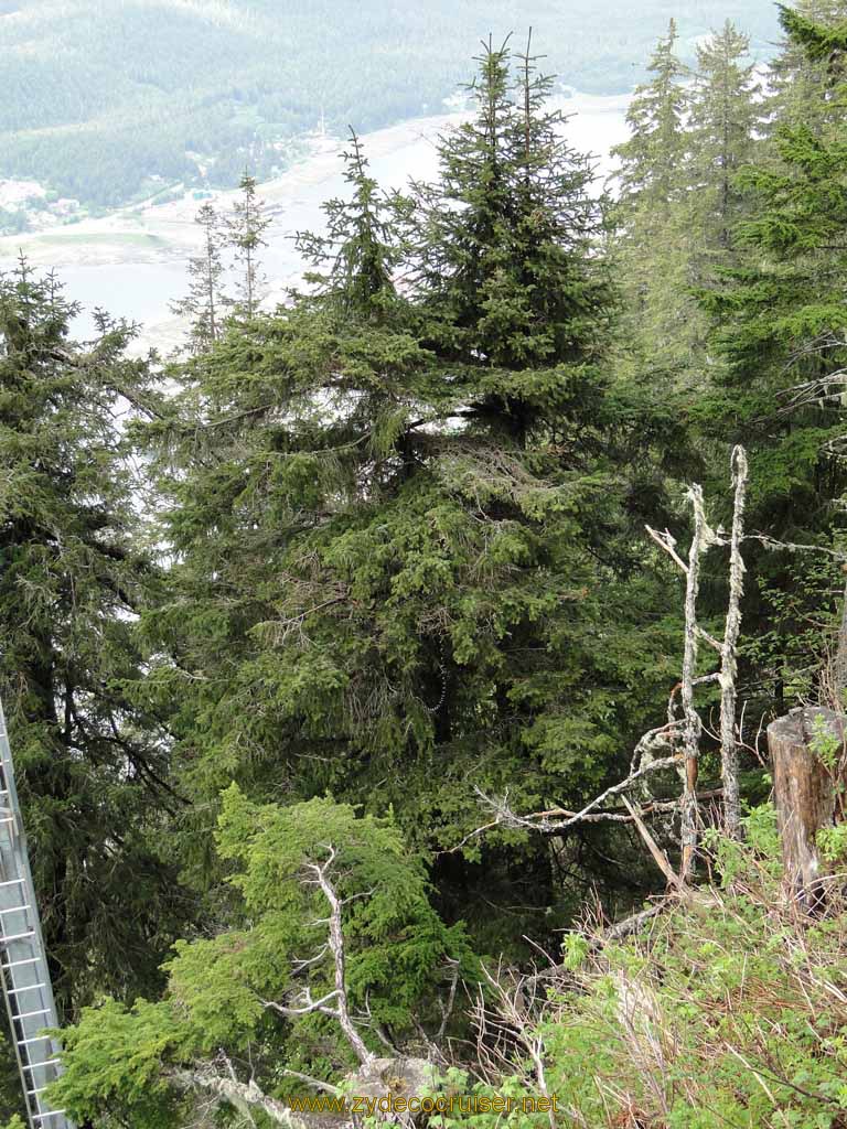 073: Carnival Spirit, Juneau - View from Mount Roberts