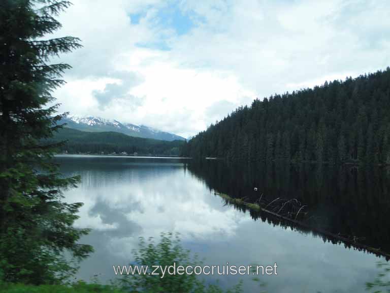 123: Carnival Spirit - Juneau Bus ride to Whale Quest