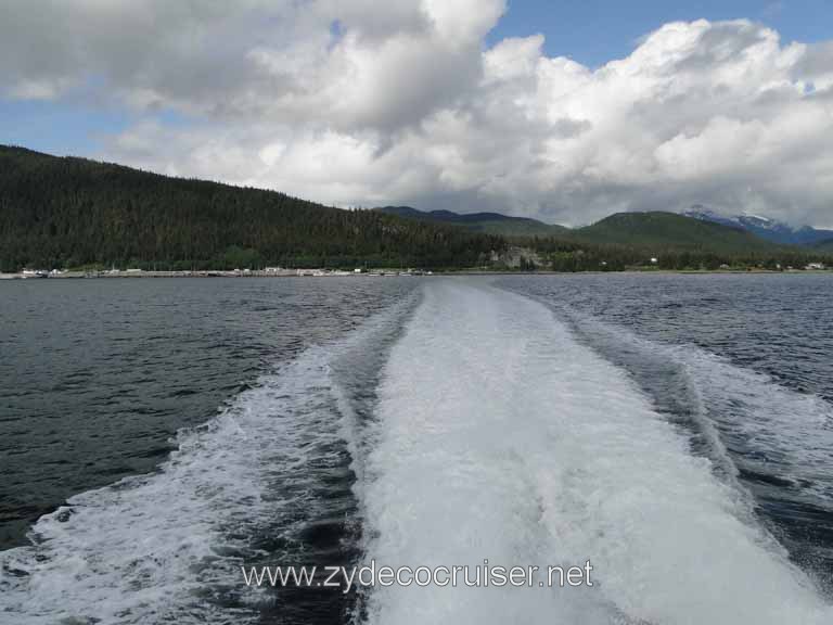 128: Carnival Spirit - Juneau - Whale Quest 