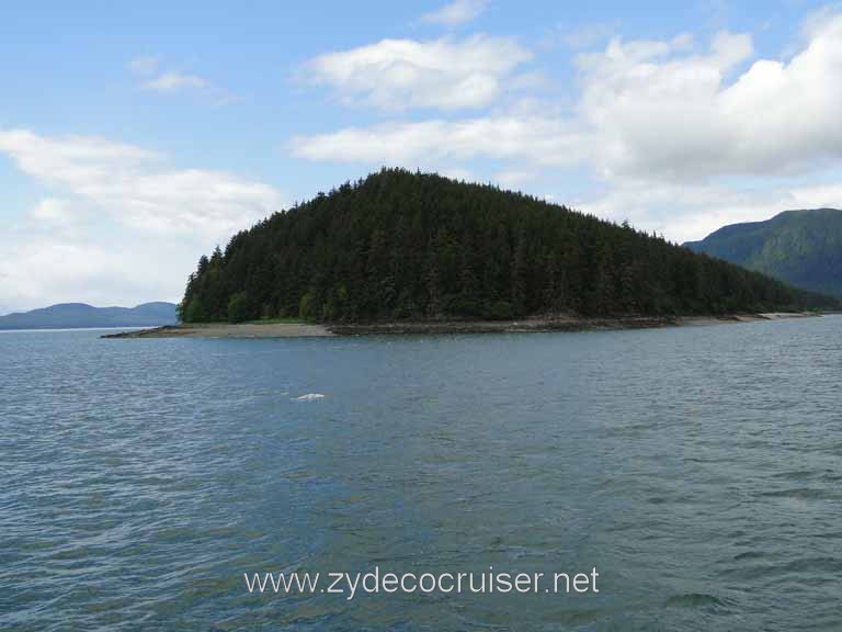 134: Carnival Spirit - Auke Bay - Whale Quest