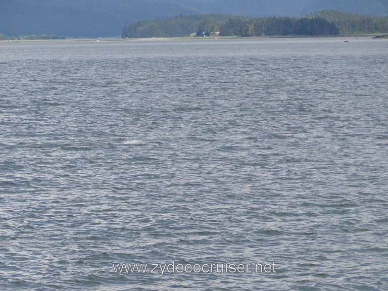 148: Carnival Spirit - Auke Bay - Whale Quest 