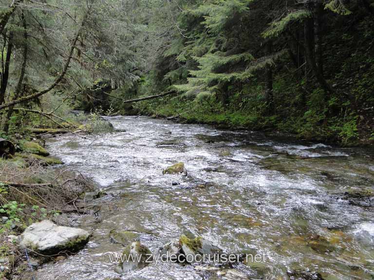 240: Carnival Spirit - Juneau - Gold Creek Salmon Bake