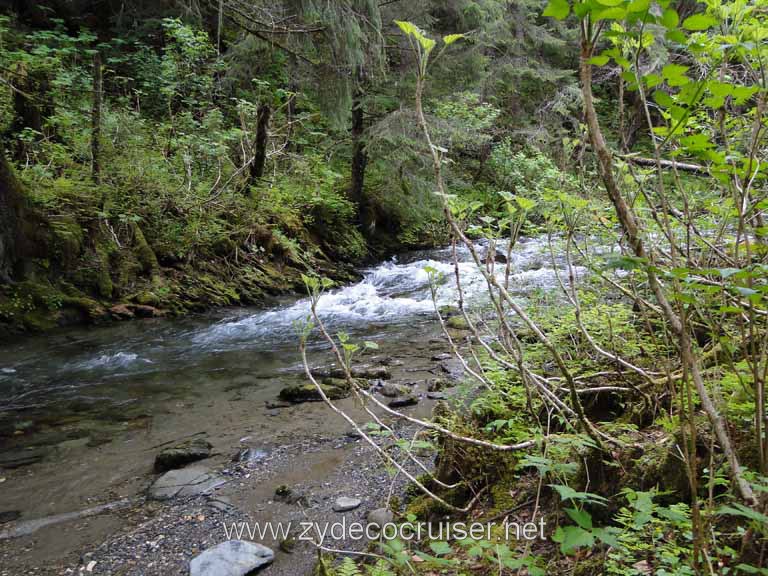 257: Carnival Spirit - Juneau - Gold Creek Salmon Bake