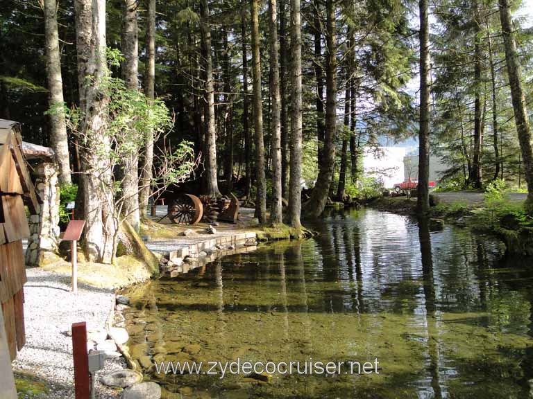 269: Carnival Spirit - Juneau - Gold Creek Salmon Bake