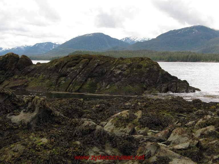 Ketchikan - Mountain Point Snorkel Trip