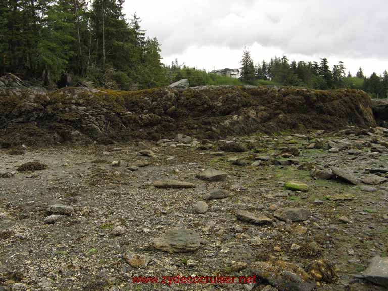 027: Carnival Spirit, Alaska, Ketchikan, Mountain Point Snorkel Trip, 