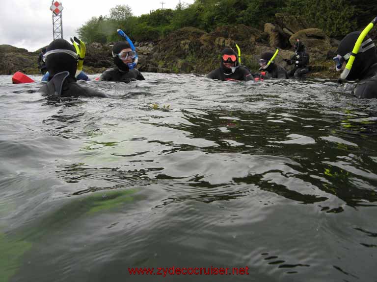 Snorkeling - Alaska Style - Ketchikan