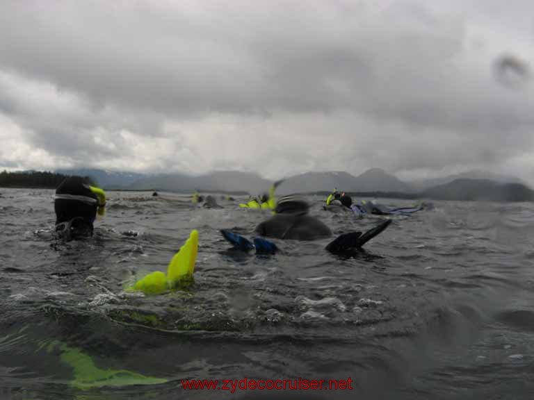 Ketchikan - Mountain Point Snorkel Trip