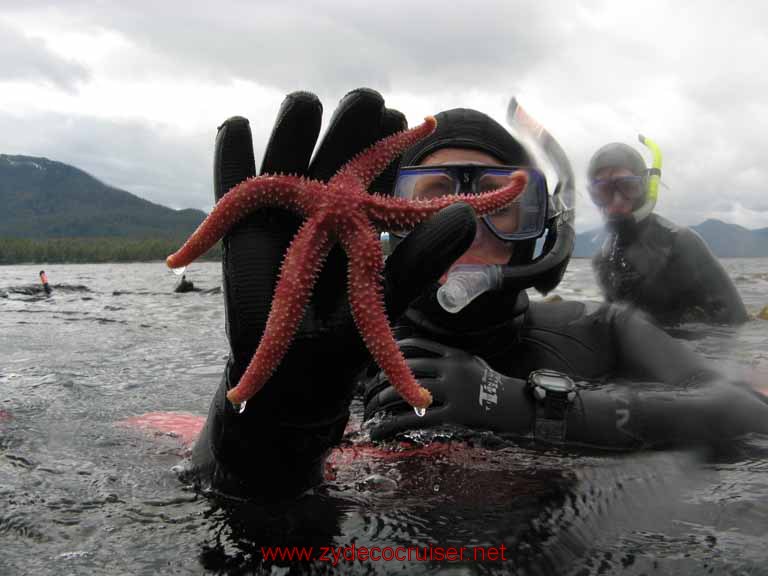 Ketchikan - Mountain Point Snorkel Trip - Starfish