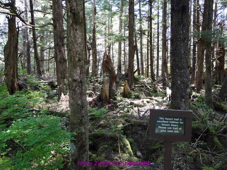 070: Sitka - Alaska Raptor Center 