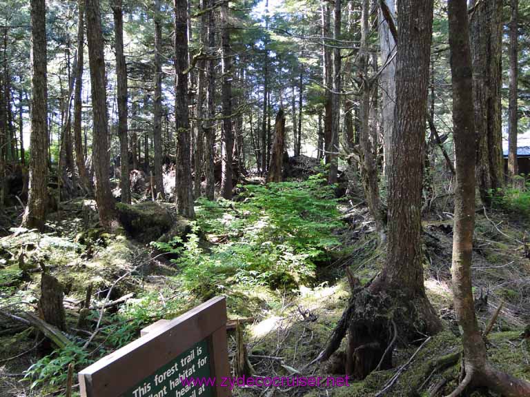 074: Sitka - Alaska Raptor Center 