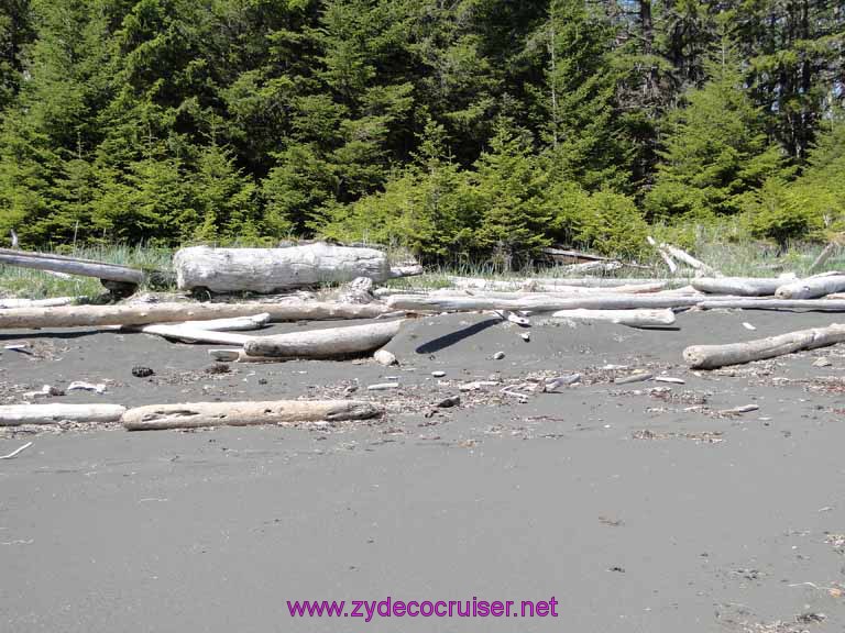 144: Sitka - Captain's Choice Wildlife Quest and Beach Exploration - Beach