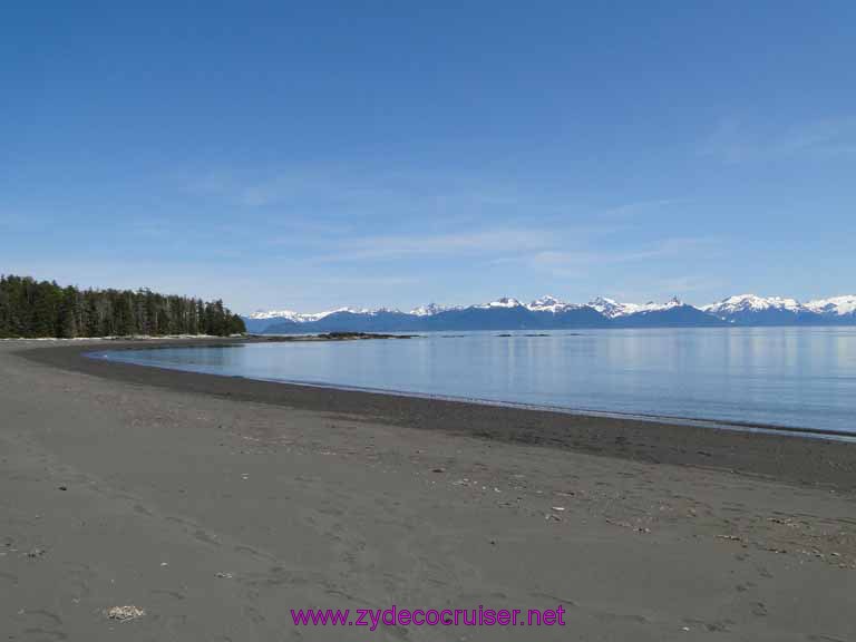 146: Sitka - Captain's Choice Wildlife Quest and Beach Exploration - Beach