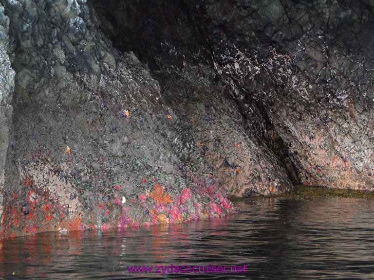 210: Sitka - Captain's Choice Wildlife Quest and Beach Exploration - cave