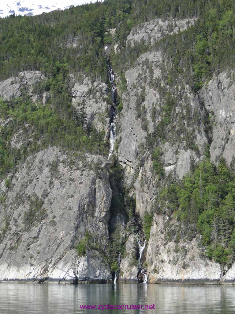 016: Carnival Spirit, Skagway, Alaska - Eagle Preserve Wildlife River Adventure 