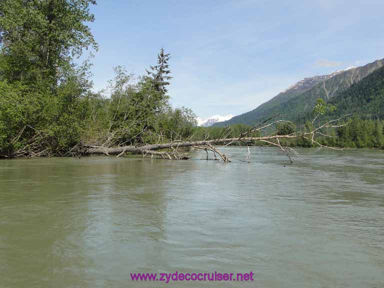 056: Carnival Spirit, Skagway, Alaska - Eagle Preserve Wildlife River Adventure 