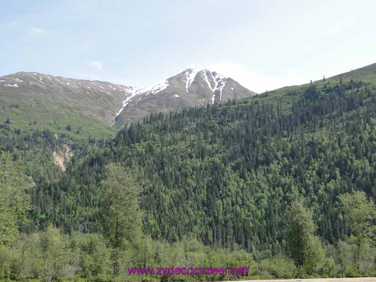 060: Carnival Spirit, Skagway, Alaska - Eagle Preserve Wildlife River Adventure 