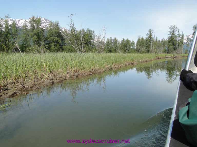 064: Carnival Spirit, Skagway, Alaska - Eagle Preserve Wildlife River Adventure 