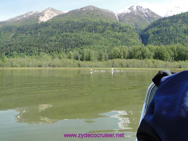 073: Carnival Spirit, Skagway, Alaska - Eagle Preserve Wildlife River Adventure 