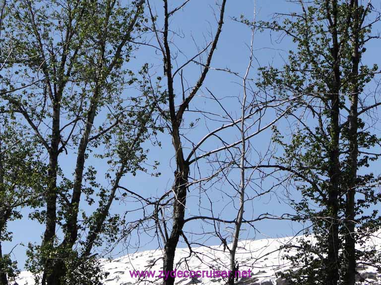 086: Carnival Spirit, Skagway, Alaska - Eagle Preserve Wildlife River Adventure 