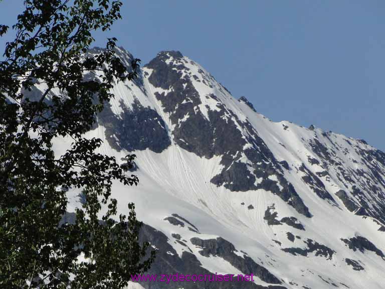 100: Carnival Spirit, Skagway, Alaska - Eagle Preserve Wildlife River Adventure 