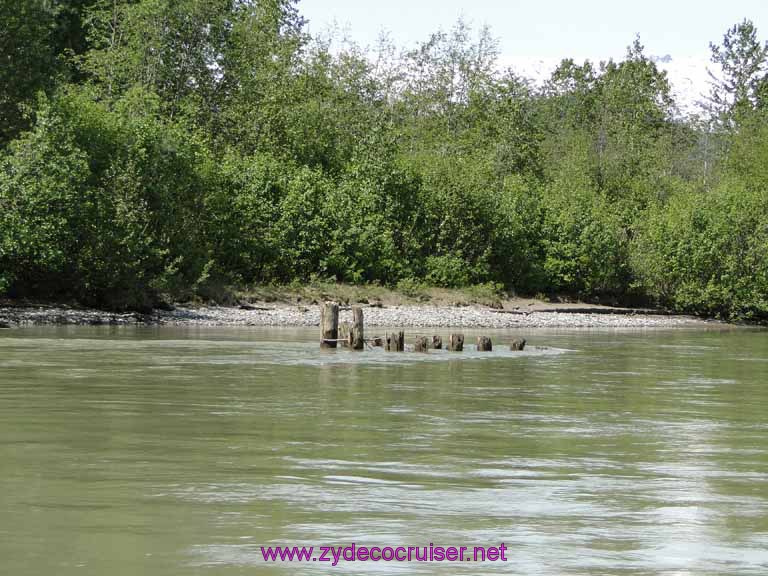 112: Carnival Spirit, Skagway, Alaska - Eagle Preserve Wildlife River Adventure 