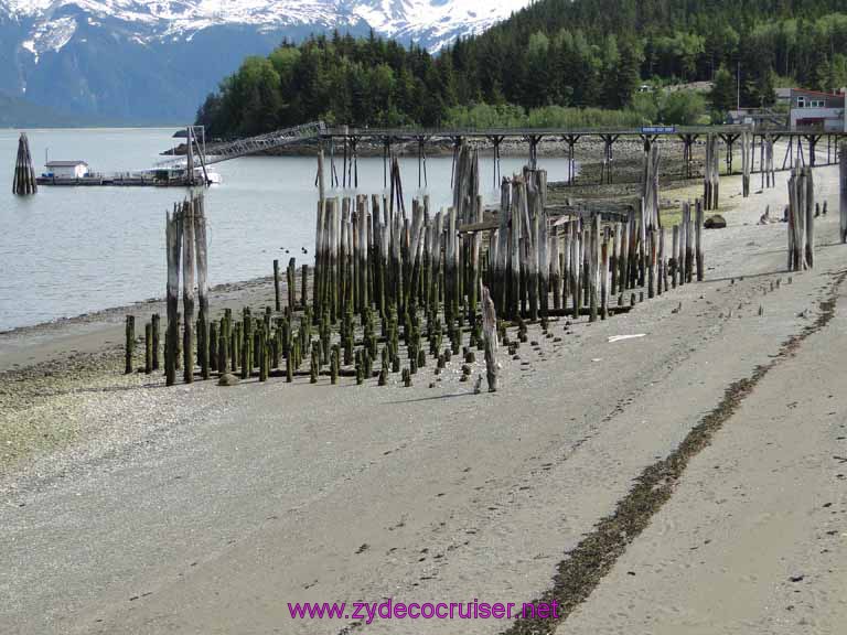 150: Carnival Spirit, Skagway, Alaska - Eagle Preserve Wildlife River Adventure 