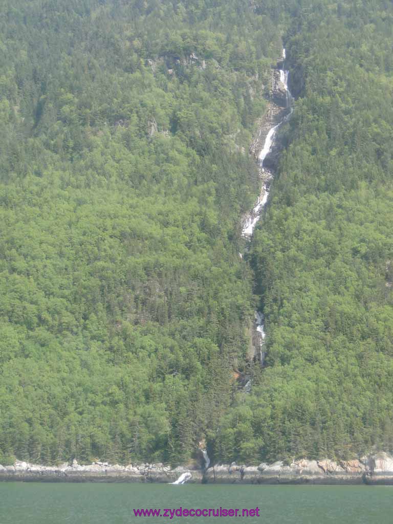 158: Carnival Spirit, Skagway, Alaska - Eagle Preserve Wildlife River Adventure 