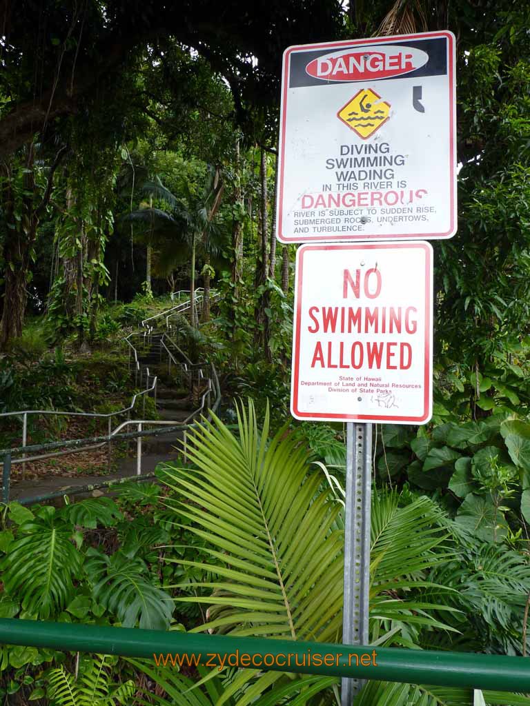 032: Carnival Spirit, Hilo, Hawaii, Rainbow Falls, Danger, Danger