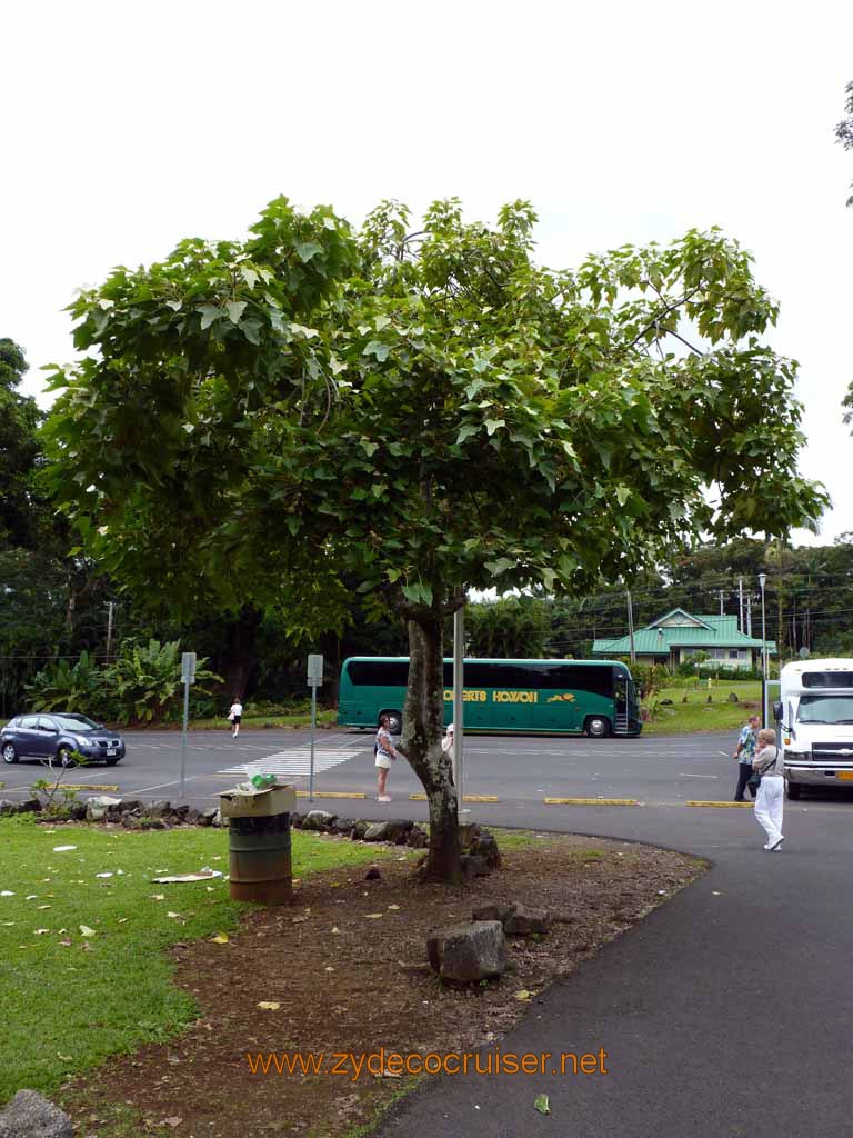 047: Carnival Spirit, Hilo, Hawaii, Rainbow Falls area