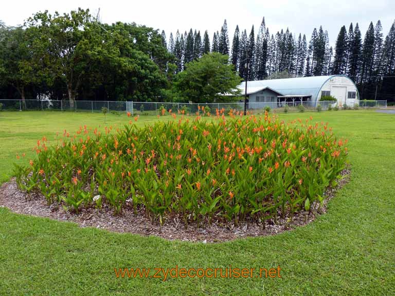 067: Carnival Spirit, Hilo, Hawaii, Mauna Loa Factory and Store, Nature Walk