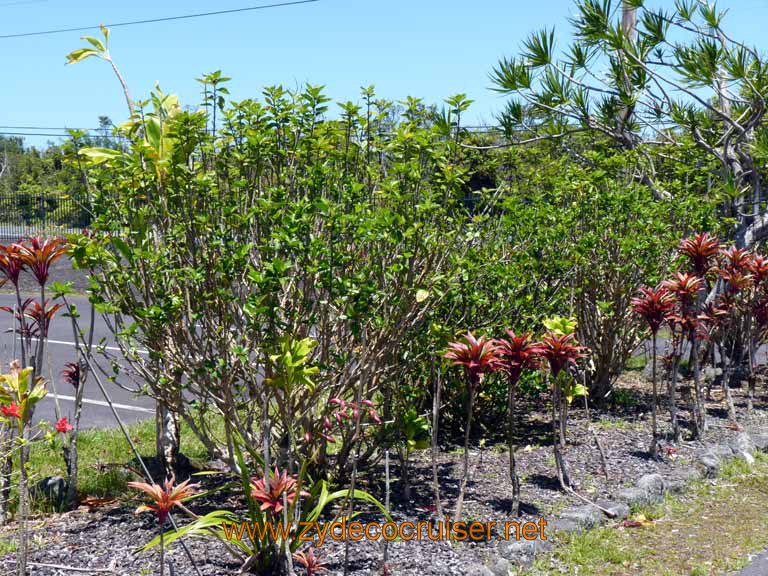 074: Carnival Spirit, Hilo, Hawaii, 