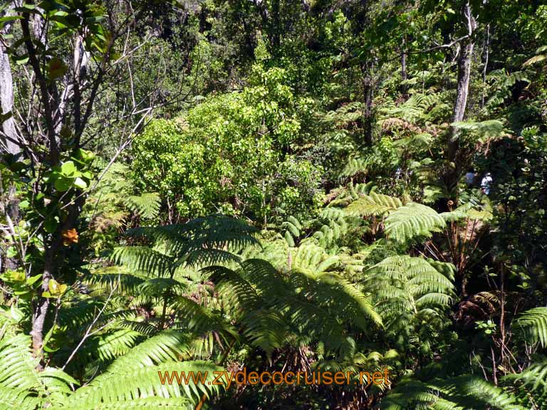 203: Carnival Spirit, Hilo, Hawaii, Hawaii (Hawai'i) Volcanoes National Park, Thurston Lava Tube