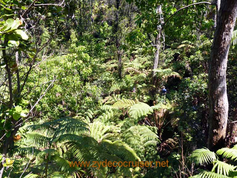 204: Carnival Spirit, Hilo, Hawaii, Hawaii (Hawai'i) Volcanoes National Park, Thurston Lava Tube