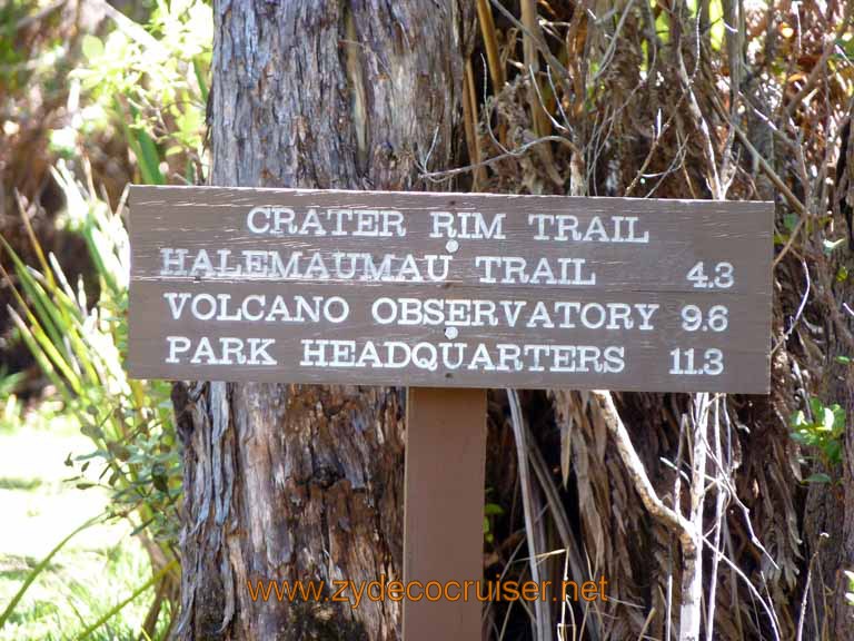 207: Carnival Spirit, Hilo, Hawaii, Hawaii (Hawai'i) Volcanoes National Park, Thurston Lava Tube