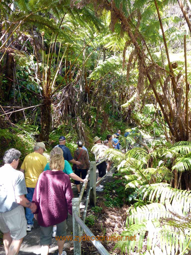 221: Carnival Spirit, Hilo, Hawaii, Hawaii (Hawai'i) Volcanoes National Park, Thurston Lava Tube